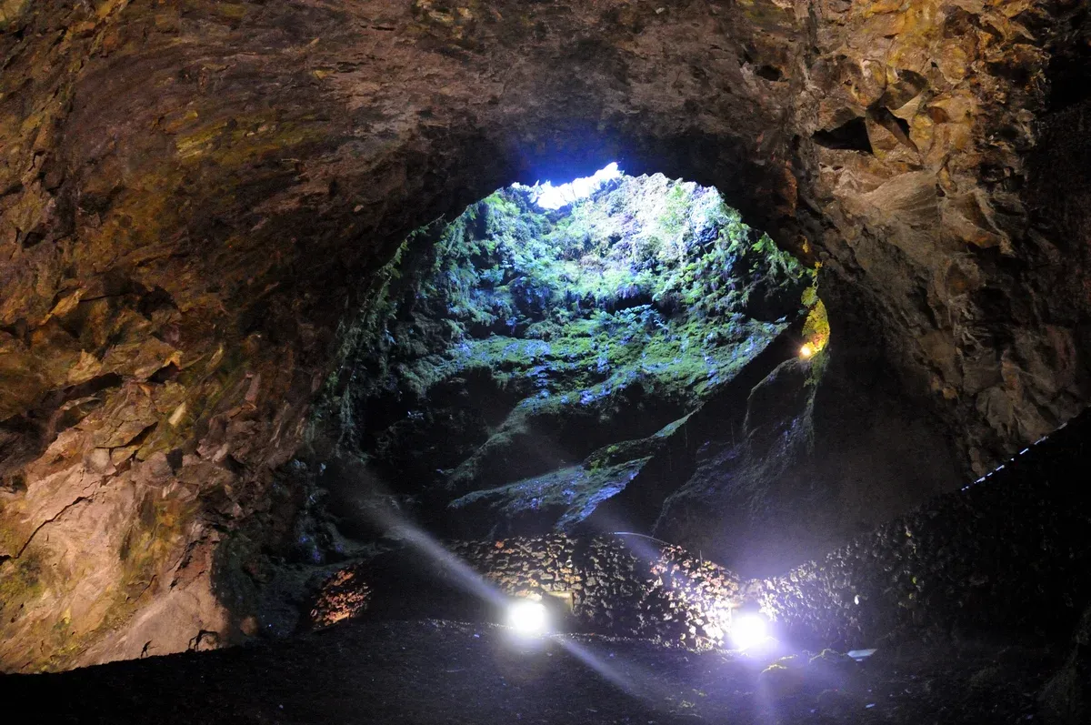 The interior of the Algar do Carvão volcanic chimney, looking up toward the plant-covered crater mouth