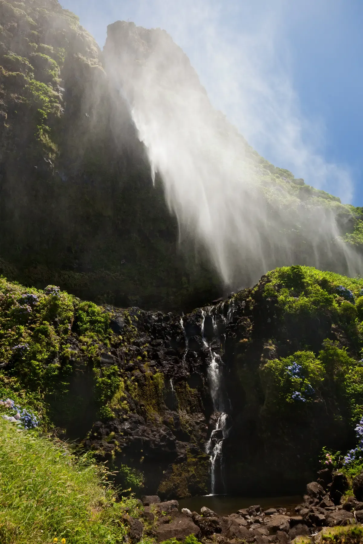 The Poço do Bacalhau waterfall near Fajã Grande on Flores, falling past green cliffs and hydrangeas