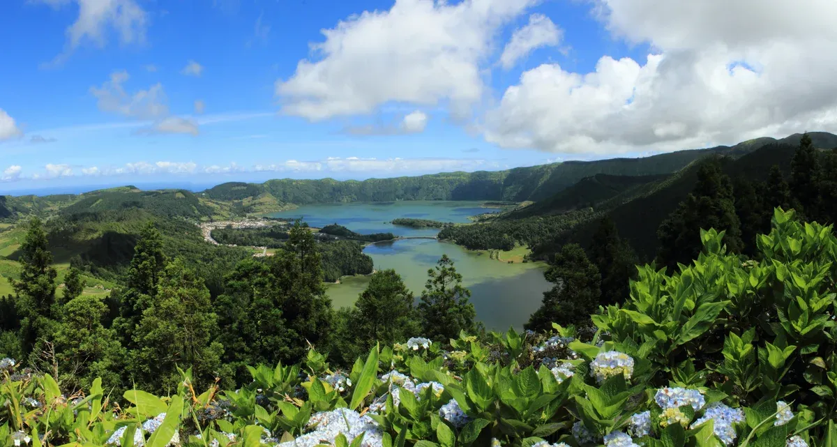 The twin crater lakes of the west seen from the rim, hydrangeas in the foreground